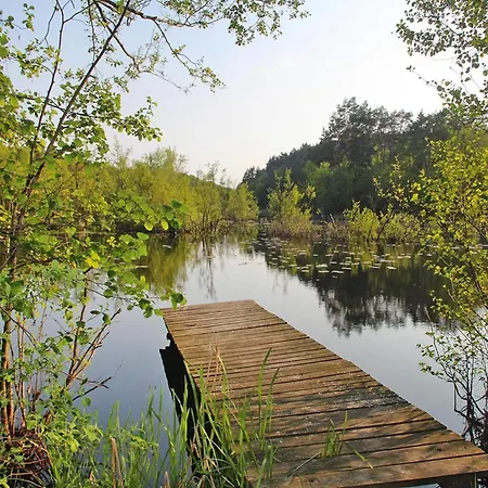 By Baltic Sea Near Wisełka
