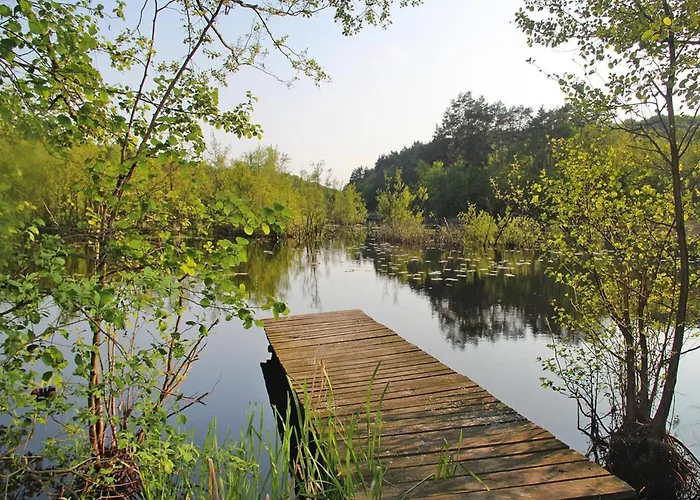 By Baltic Sea Near Wisełka
